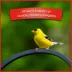 Pennington® Select Birder's Blend Bird Seed image thumbnail 5