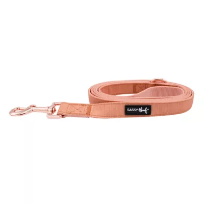 Product Sassy Woof Apple Cider Dog Leash: 5-ft long