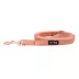 Sassy Woof Apple Cider Dog Leash: 5-ft long image thumbnail 2