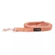 Product Sassy Woof Apple Cider Dog Leash: 5-ft long