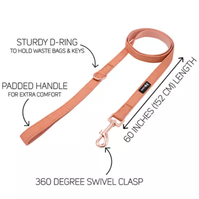 Product Sassy Woof Apple Cider Dog Leash: 5-ft long