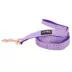 Sassy Woof Aurora Dog Leash: 5-ft long image thumbnail 1