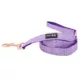 Product Sassy Woof Aurora Dog Leash: 5-ft long