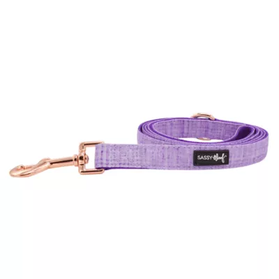 Product Sassy Woof Aurora Dog Leash: 5-ft long