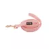 Sassy Woof Dolce Rose Dog Leash: 5-ft long image thumbnail 1