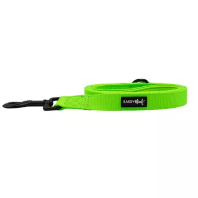 Sassy Woof Neon Dog Leash: 5-ft long - Image 2