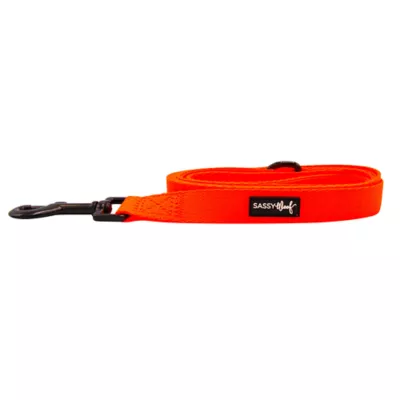Product Sassy Woof Neon Dog Leash: 5-ft long
