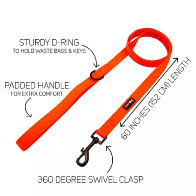 Product Sassy Woof Neon Dog Leash: 5-ft long
