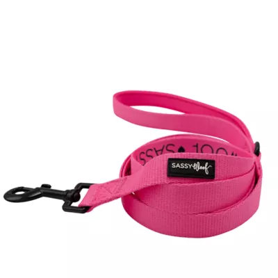 Product Sassy Woof Neon Dog Leash: 5-ft long
