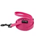 Sassy Woof Neon Dog Leash: 5-ft long image thumbnail 1
