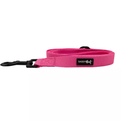Product Sassy Woof Neon Dog Leash: 5-ft long