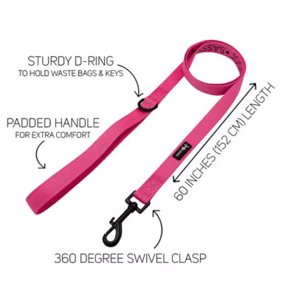 Product Sassy Woof Neon Dog Leash: 5-ft long