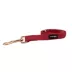 Sassy Woof Merlot Dog Leash: 5-ft long image thumbnail 2