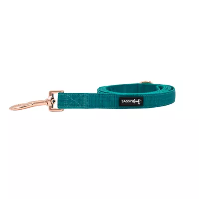 Product Sassy Woof Napa Dog Leash: 5-ft long