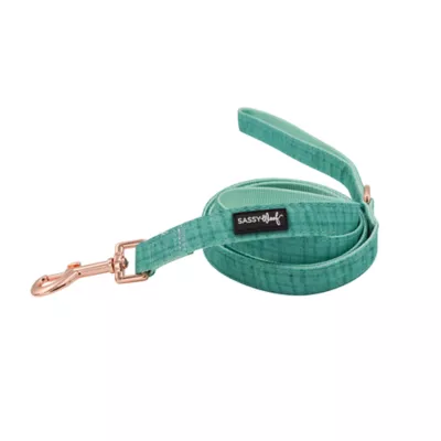 Product Sassy Woof Wag Your Teal Dog Leash: 5-ft long