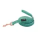 Product Sassy Woof Wag Your Teal Dog Leash: 5-ft long