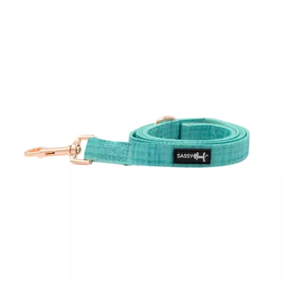 Product Sassy Woof Wag Your Teal Dog Leash: 5-ft long