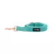 Product Sassy Woof Wag Your Teal Dog Leash: 5-ft long