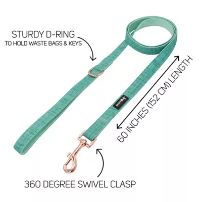 Product Sassy Woof Wag Your Teal Dog Leash: 5-ft long