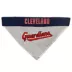 Pets First Cleveland Guardians Dog Bandana image thumbnail 2