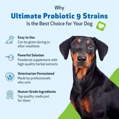 Pet Wellbeing Ultimate Probiotic 9 Strains Powder Digestive Dog Supplement - Image 4