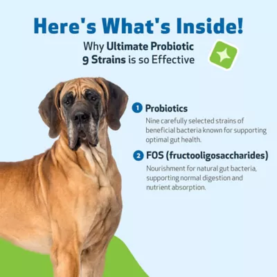 Pet Wellbeing Ultimate Probiotic 9 Strains Powder Digestive Dog Supplement - Image 5