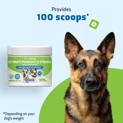 Pet Wellbeing Ultimate Probiotic 9 Strains Powder Digestive Dog Supplement - Image 7
