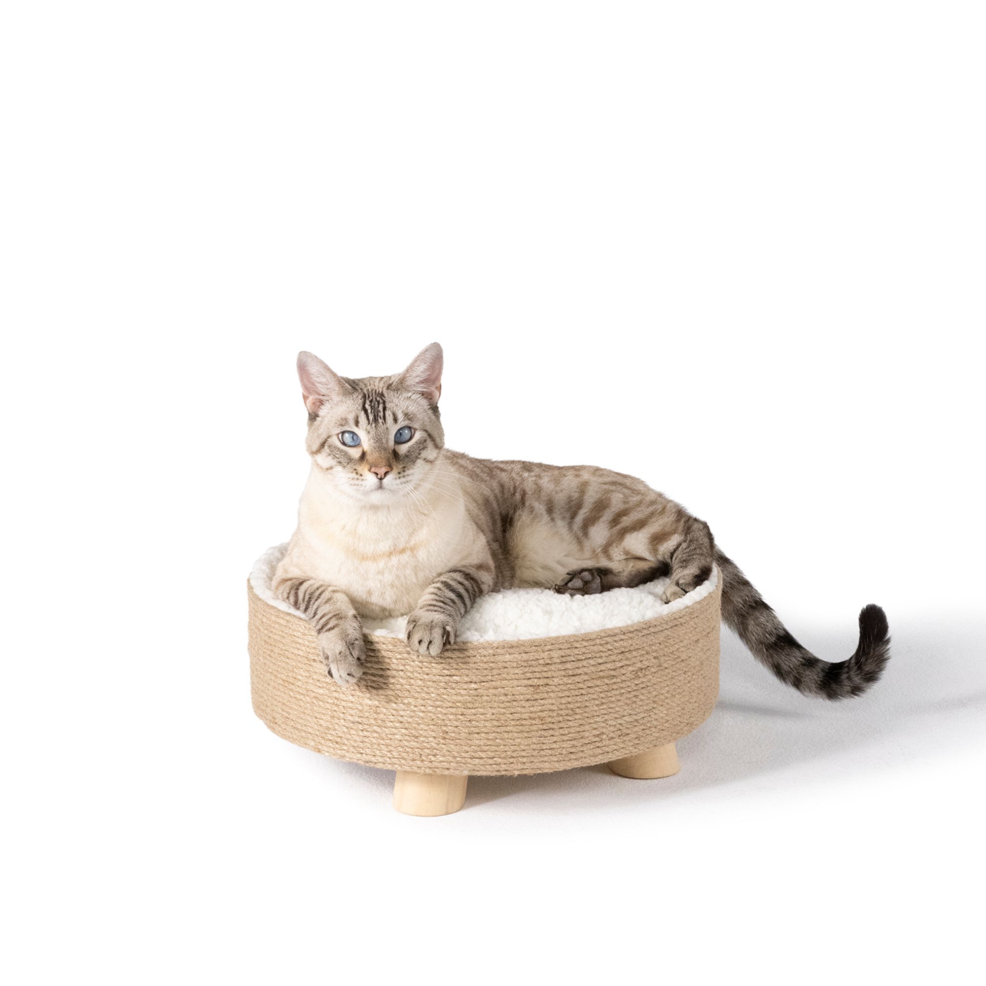 Whisker city scratch sale and nest with bed