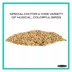 Pennington® Select Wild Finch Bird Seed image thumbnail 3