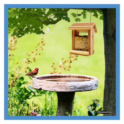 Product Pennington® Select Wild Finch Bird Seed