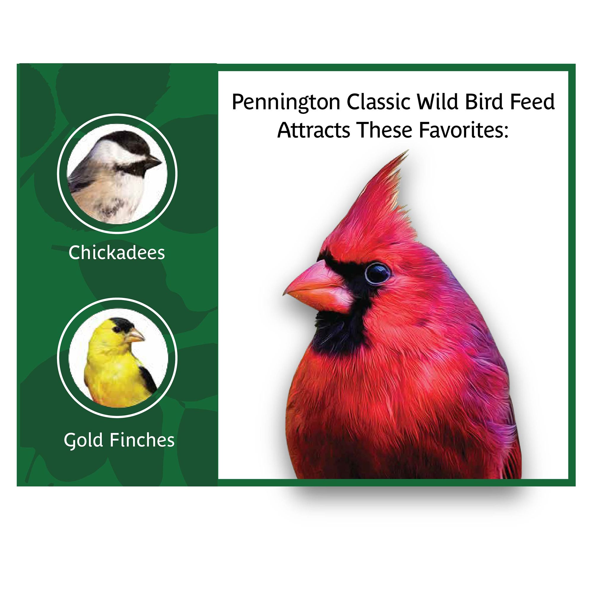 Pennington® Classic Wild Bird Seed Blend for Backyard Feeding - thumbnail 4