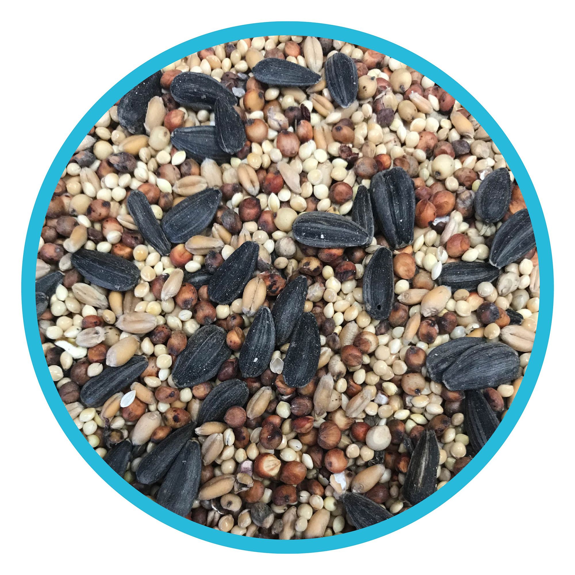 Pennington® Classic Wild Bird Seed Blend for Backyard Feeding - thumbnail 5
