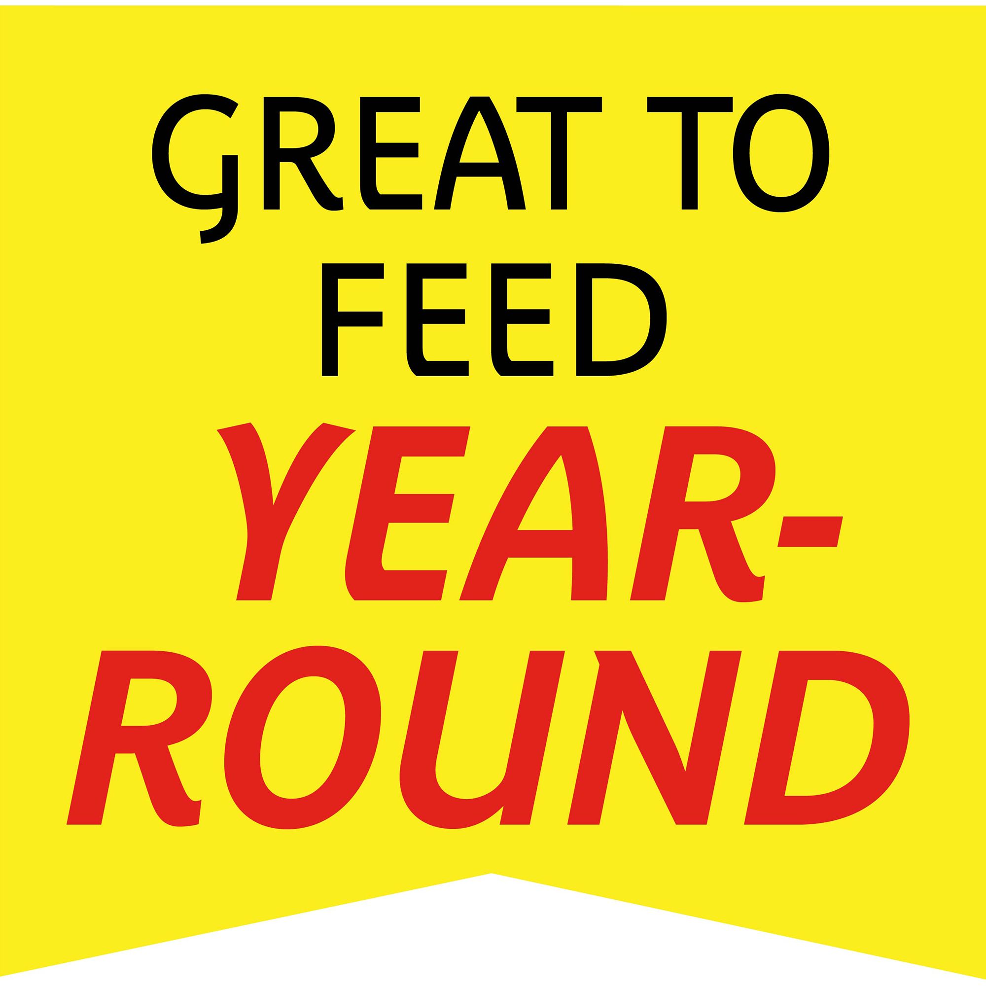 Pennington® Classic Wild Bird Seed Blend for Backyard Feeding - thumbnail 7