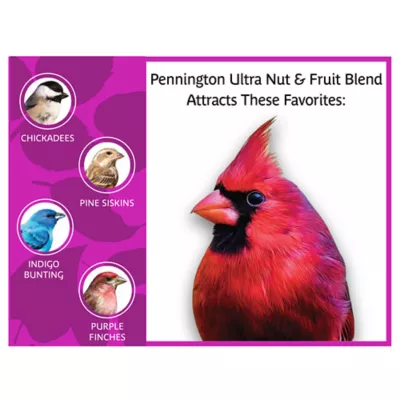 Product Pennington® Ultra Nut & Fruit Bird Seed