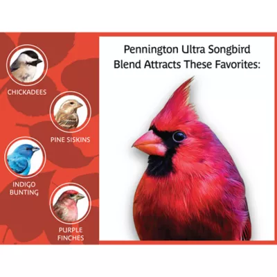 Product Pennington® Ultra Songbird Blend Bird Seed