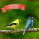 Product Pennington® Ultra Songbird Blend Bird Seed