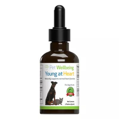 Petsmart dog cough medicine hotsell