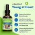 Pet Wellbeing Young at Heart Liquid Heart Dog Supplement image thumbnail 4