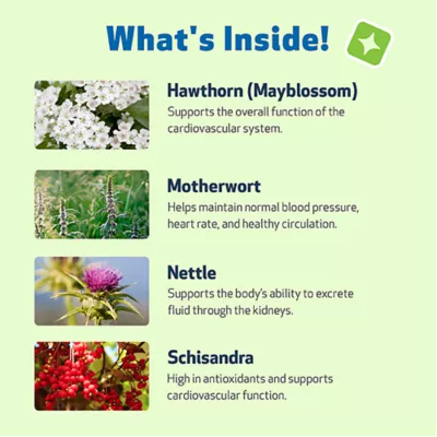 Product Pet Wellbeing Young at Heart Liquid Heart Dog Supplement