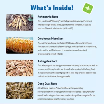 Pet Wellbeing Kidney Support GOLD Liquid Kidney Dog & Cat Supplement - Image 7