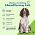 Pet Wellbeing Adrenal Harmony GOLD Liquid Hormonal Dog Supplement image thumbnail 3