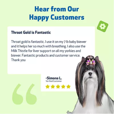 Product Pet Wellbeing Throat GOLD Liquid Respiratory Dog & Cat Supplement