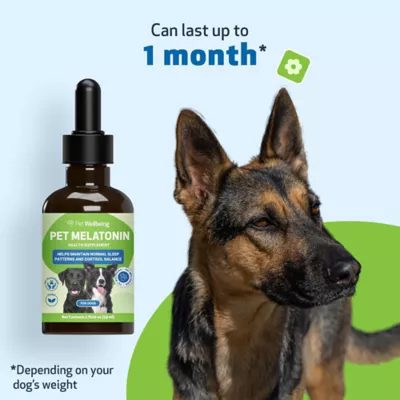 Pet Wellbeing Pet Melatonin Liquid Calming Dog Supplement - Image 8