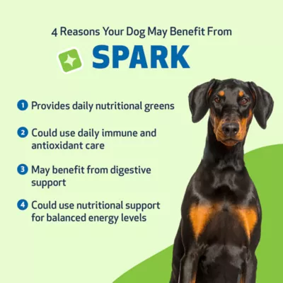 Pet Wellbeing SPARK Daily Multivitamin Powder Supplement for Dogs and Cats, Bacon, 3.53 oz - Image 5