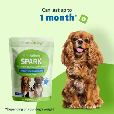 Pet Wellbeing SPARK Daily Multivitamin Powder Supplement for Dogs and Cats, Bacon, 3.53 oz - Image 7