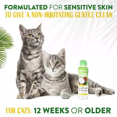 Product TropiClean Gentle Coconut Hypoallergenic Cat & Kitten Shampoo
