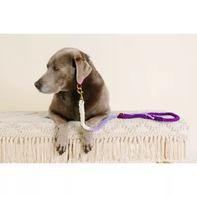 Product Pink Papyrus Nina Purple Ombre Rope Dog Leash: 4-ft long