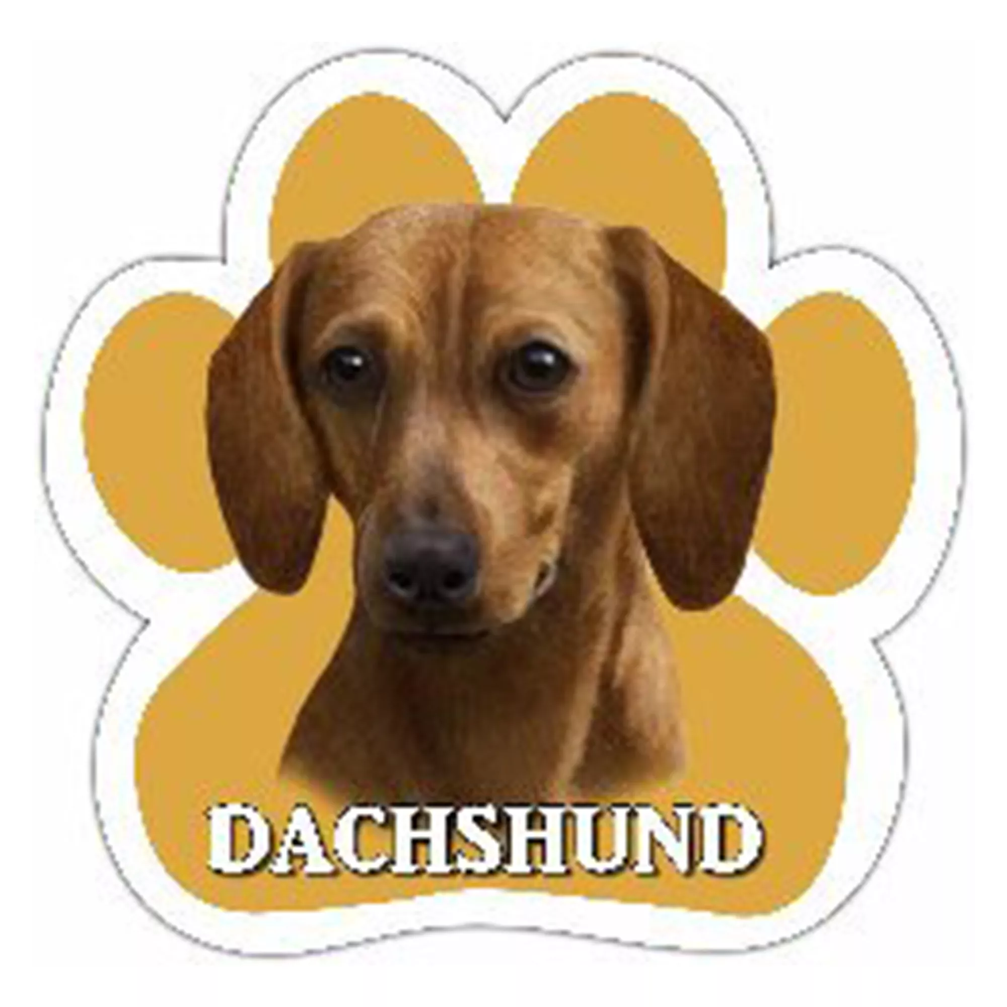 E&S Pets Red Dachshund Paw Shaped Car Magnet