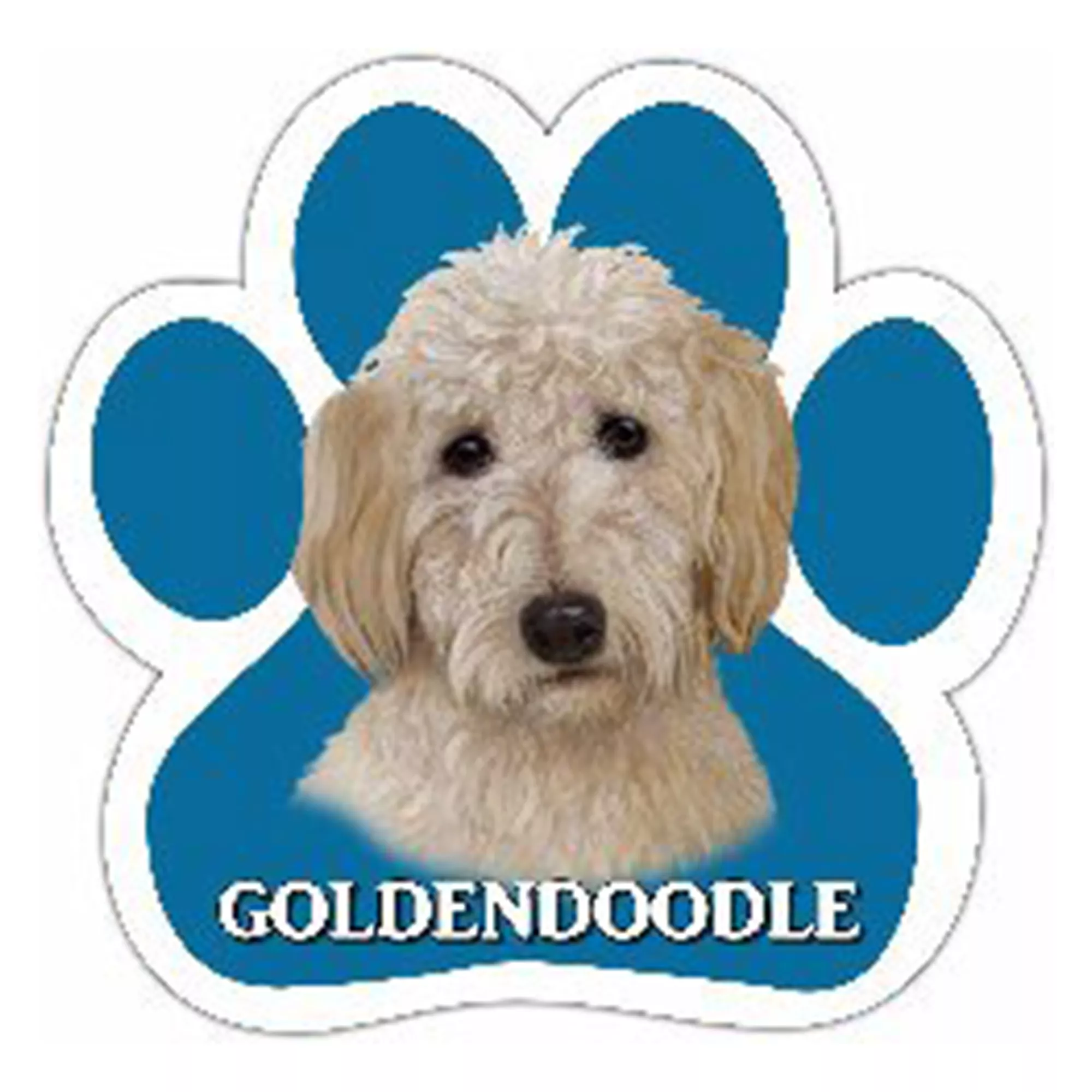 E&S Pets Goldendoodle Paw Shaped Car Magnet