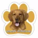 Product E&S Pets Golden Retriever Paw Shaped Car Magnet